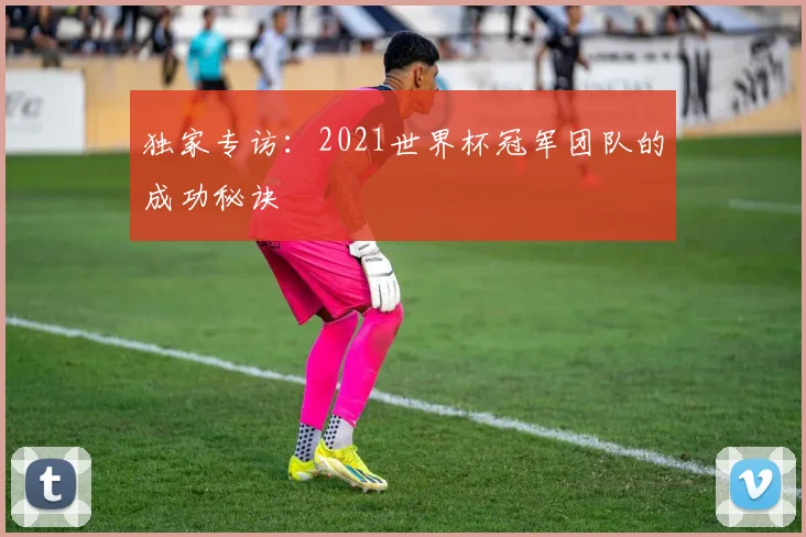 独家专访:2021世界杯冠军团队的成功秘诀